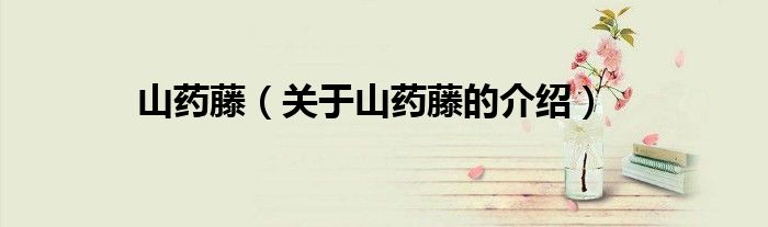 山药藤（关于山药藤的介绍）
