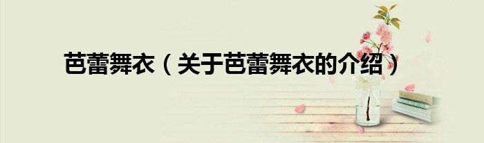 芭蕾舞衣（关于芭蕾舞衣的介绍）