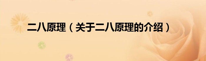二八原理（关于二八原理的介绍）