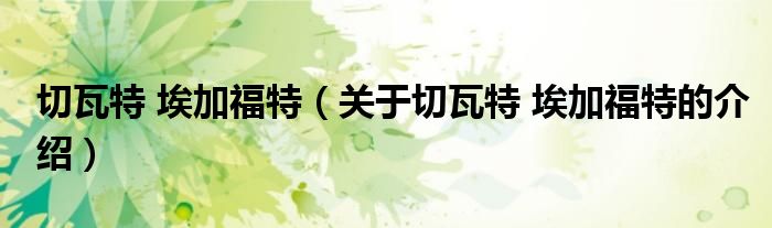 切瓦特 埃加福特（关于切瓦特 埃加福特的介绍）