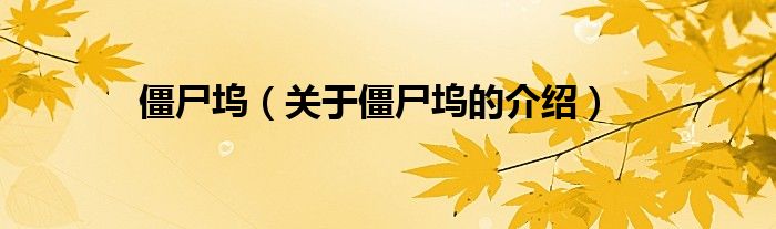 僵尸坞（关于僵尸坞的介绍）