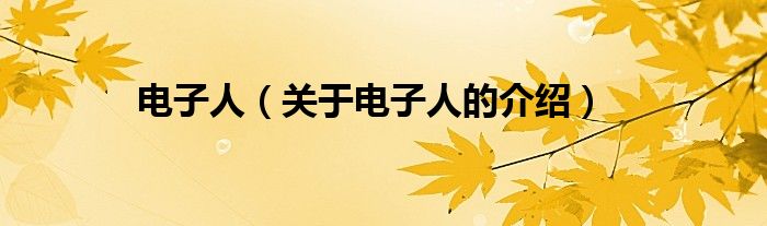 电子人（关于电子人的介绍）