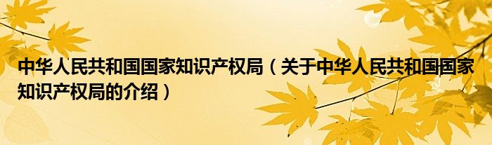 中华人民共和国国家知识产权局（关于中华人民共和国国家知识产权局的介绍）