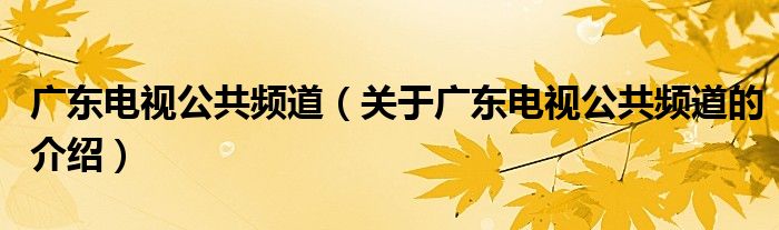 广东电视公共频道（关于广东电视公共频道的介绍）