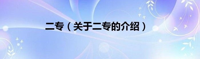 二专（关于二专的介绍）