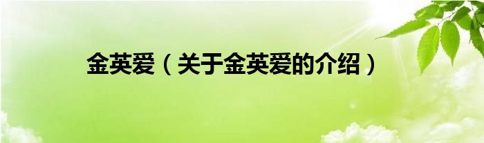 金英爱（关于金英爱的介绍）