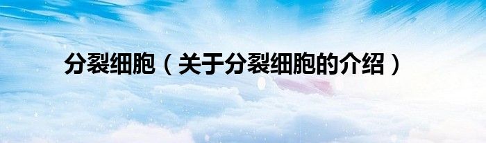 分裂细胞（关于分裂细胞的介绍）