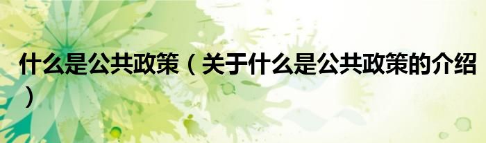 什么是公共政策（关于什么是公共政策的介绍）
