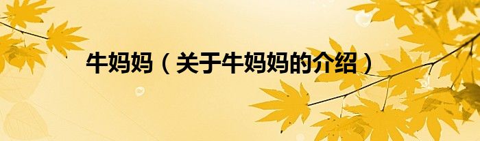 牛妈妈（关于牛妈妈的介绍）