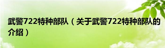 武警722特种部队（关于武警722特种部队的介绍）
