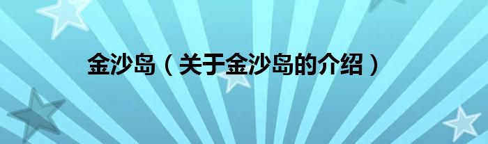 金沙岛（关于金沙岛的介绍）