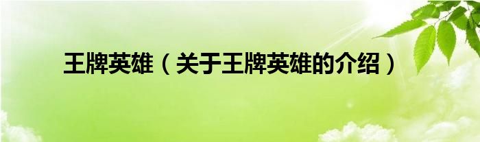 王牌英雄（关于王牌英雄的介绍）