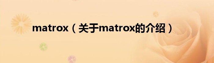 matrox（关于matrox的介绍）