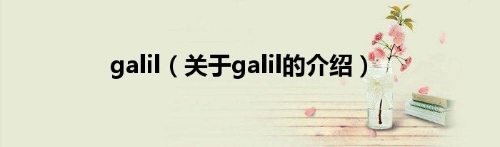 galil（关于galil的介绍）