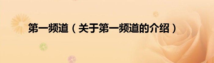 第一频道（关于第一频道的介绍）