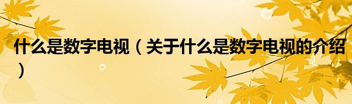 什么是数字电视（关于什么是数字电视的介绍）