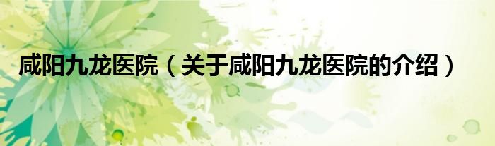 咸阳九龙医院（关于咸阳九龙医院的介绍）