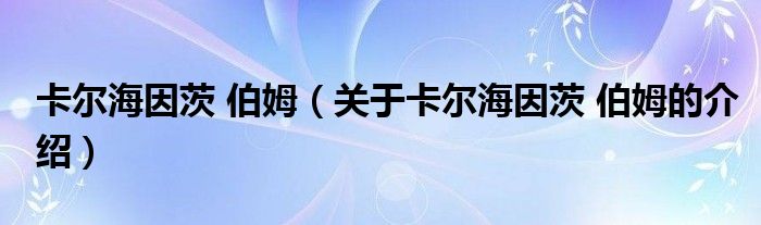 卡尔海因茨 伯姆（关于卡尔海因茨 伯姆的介绍）