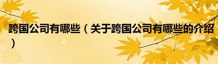 跨国公司有哪些（关于跨国公司有哪些的介绍）