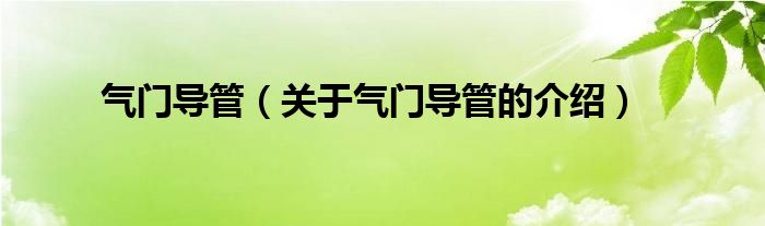 气门导管（关于气门导管的介绍）