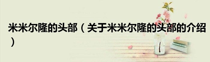 米米尔隆的头部（关于米米尔隆的头部的介绍）