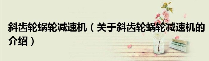斜齿轮蜗轮减速机（关于斜齿轮蜗轮减速机的介绍）