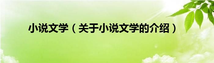 小说文学（关于小说文学的介绍）