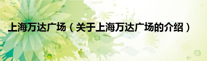 上海万达广场（关于上海万达广场的介绍）