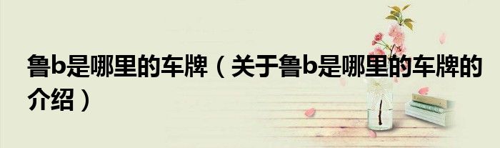 鲁b是哪里的车牌（关于鲁b是哪里的车牌的介绍）