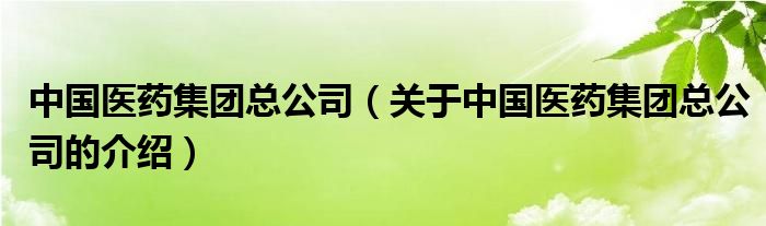 中国医药集团总公司（关于中国医药集团总公司的介绍）
