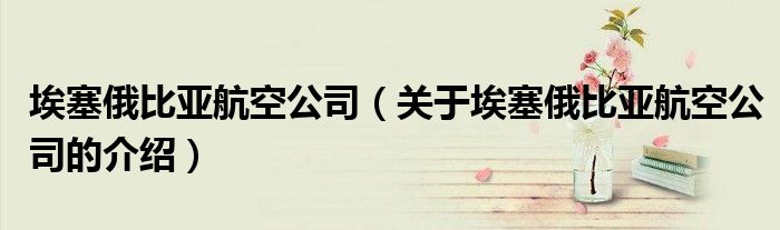 埃塞俄比亚航空公司（关于埃塞俄比亚航空公司的介绍）
