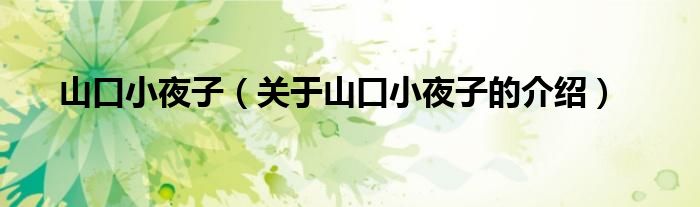 山口小夜子（关于山口小夜子的介绍）