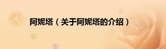 阿妮塔（关于阿妮塔的介绍）