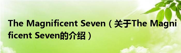 The Magnificent Seven（关于The Magnificent Seven的介绍）