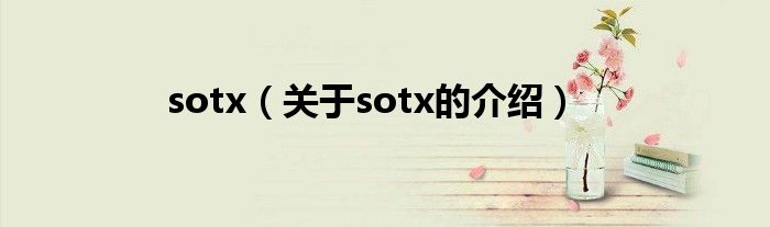 sotx（关于sotx的介绍）