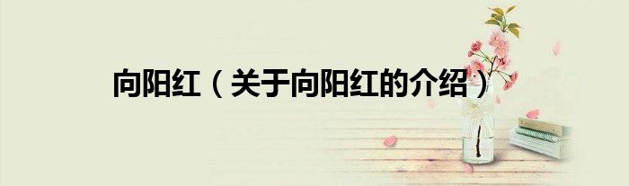 向阳红（关于向阳红的介绍）