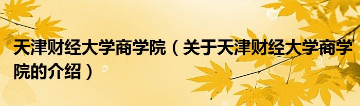 天津财经大学商学院（关于天津财经大学商学院的介绍）