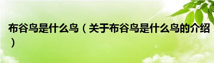 布谷鸟是什么鸟（关于布谷鸟是什么鸟的介绍）