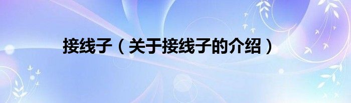 接线子（关于接线子的介绍）