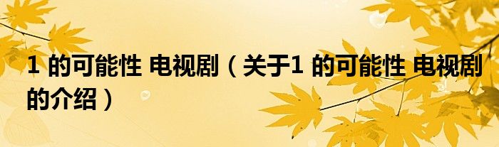 1 的可能性 电视剧（关于1 的可能性 电视剧的介绍）