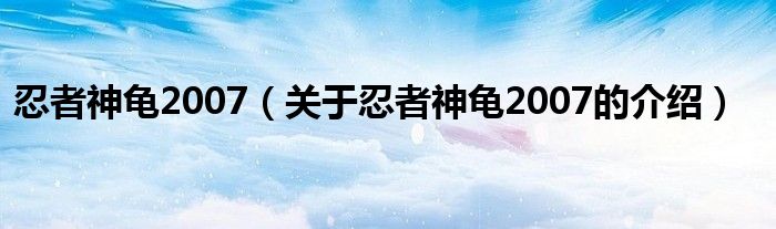 忍者神龟2007（关于忍者神龟2007的介绍）