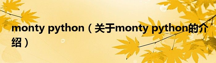 monty python（关于monty python的介绍）