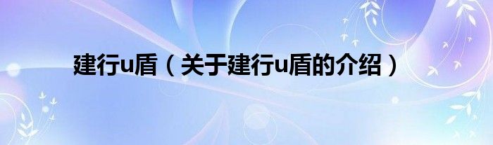 建行u盾（关于建行u盾的介绍）