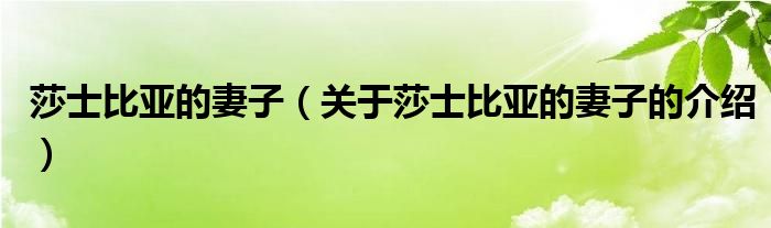 莎士比亚的妻子（关于莎士比亚的妻子的介绍）