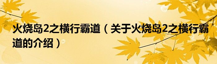 火烧岛2之横行霸道（关于火烧岛2之横行霸道的介绍）