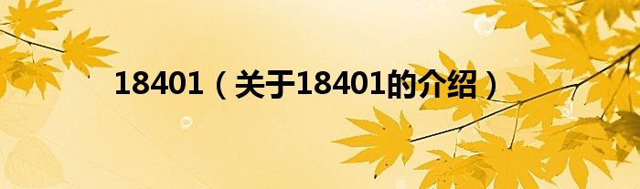 18401（关于18401的介绍）