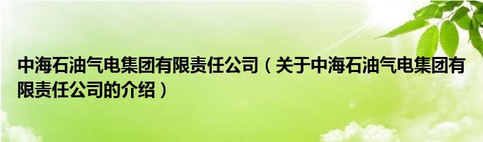 中海石油气电集团有限责任公司（关于中海石油气电集团有限责任公司的介绍）