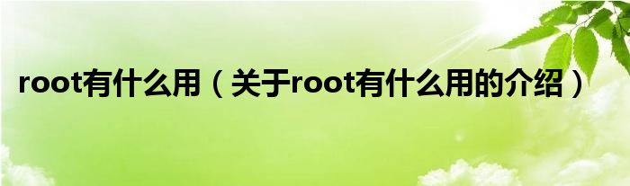 root有什么用（关于root有什么用的介绍）