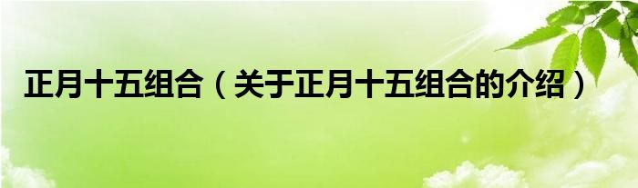 正月十五组合（关于正月十五组合的介绍）
