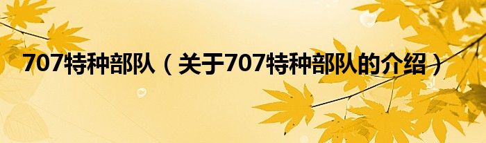 707特种部队（关于707特种部队的介绍）